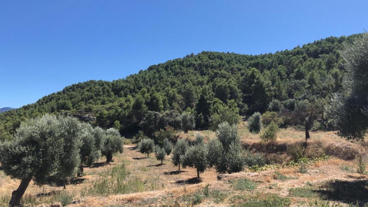 ולדרוברס Masia Mas De La Creu מראה חיצוני תמונה